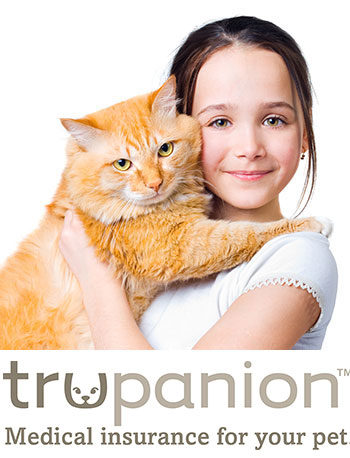 medical insurance for your pet from trupanion